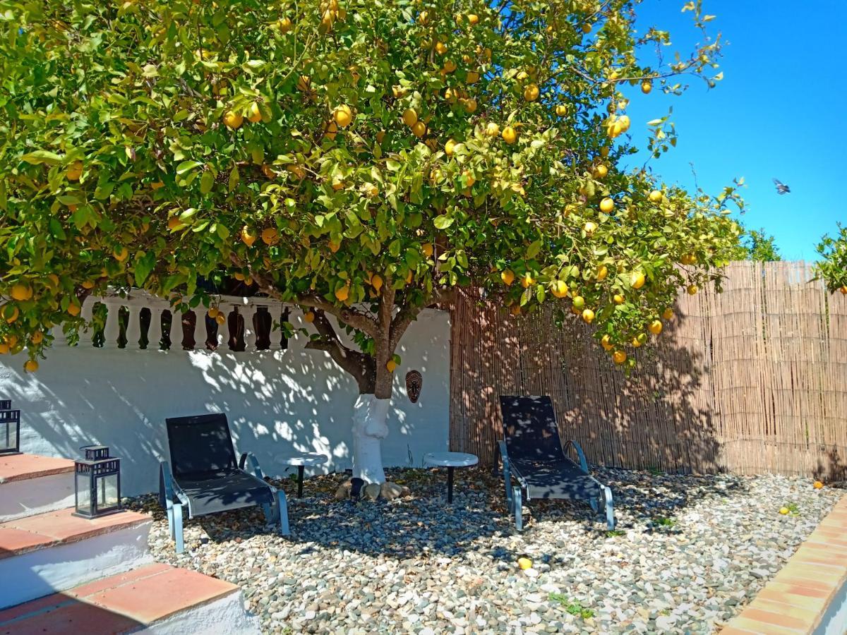 Finca Rayo Del Sol Alhaurín el Grande Dış mekan fotoğraf