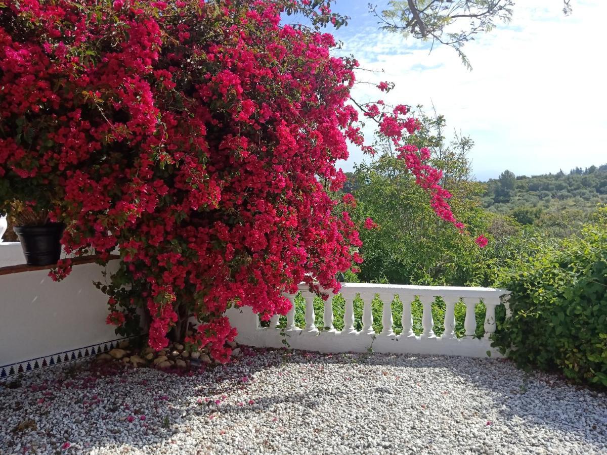 Finca Rayo Del Sol Alhaurín el Grande Dış mekan fotoğraf