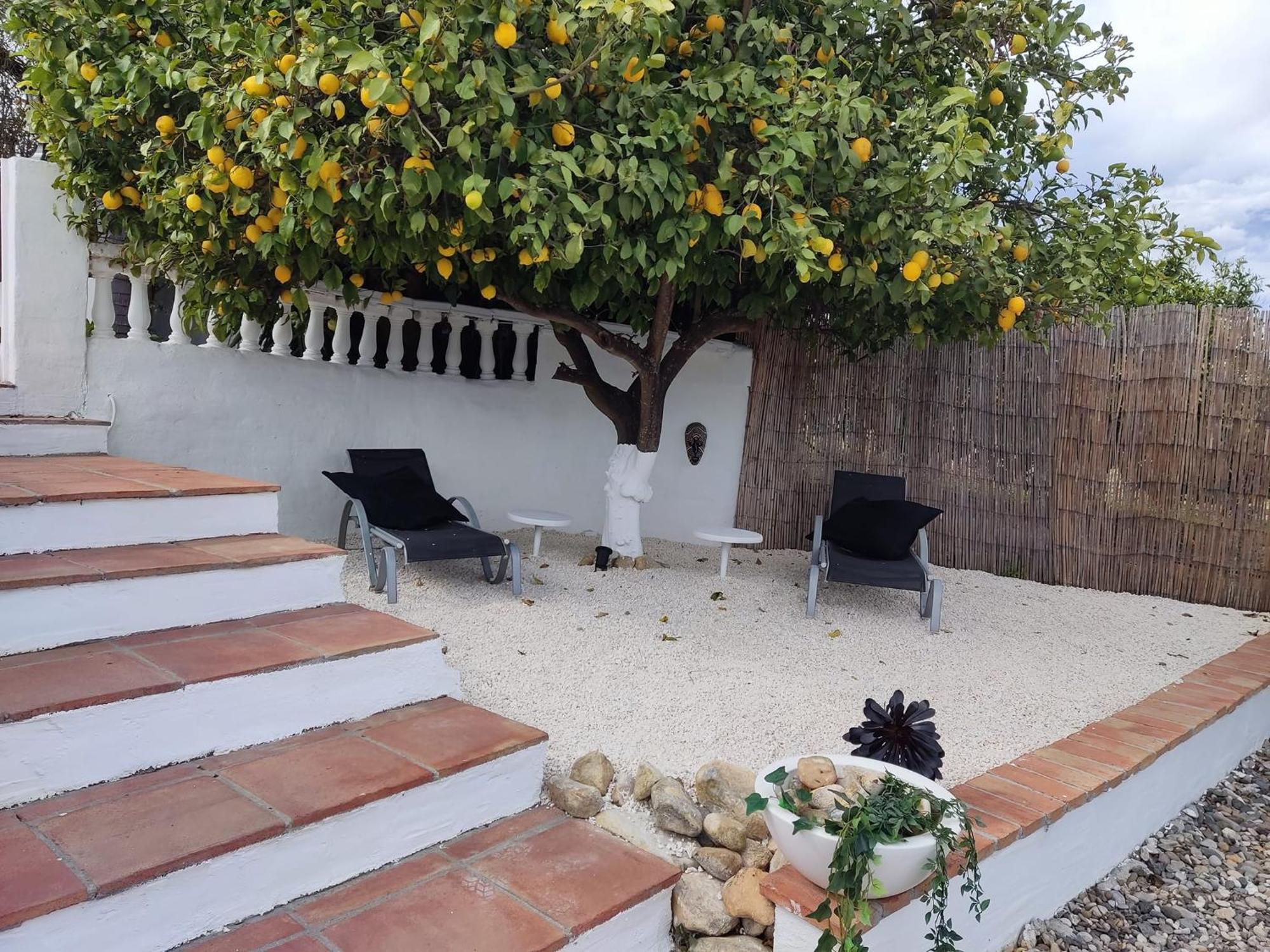 Finca Rayo Del Sol Alhaurín el Grande Dış mekan fotoğraf