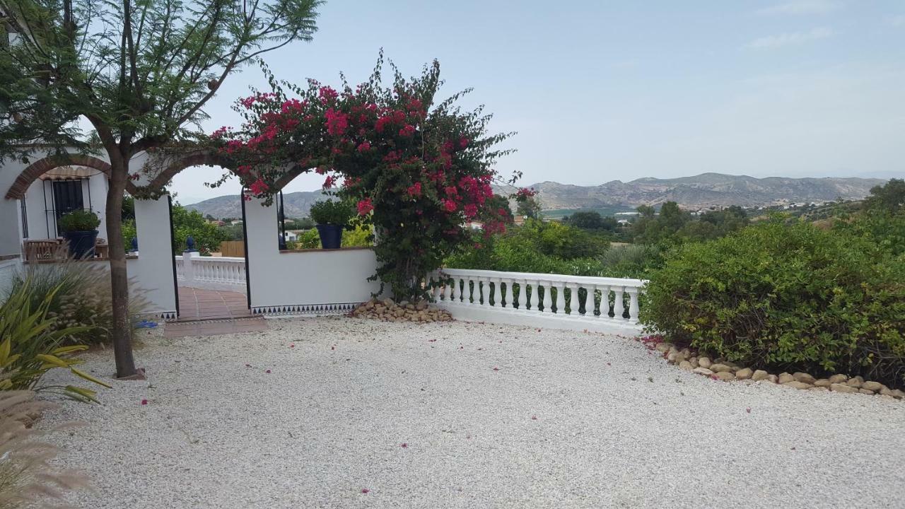 Finca Rayo Del Sol Alhaurín el Grande Dış mekan fotoğraf