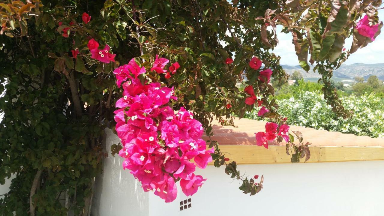 Finca Rayo Del Sol Alhaurín el Grande Dış mekan fotoğraf