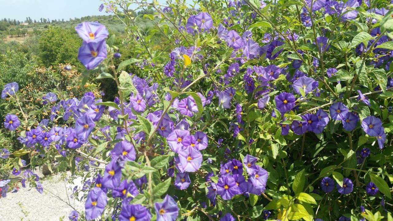 Finca Rayo Del Sol Alhaurín el Grande Dış mekan fotoğraf